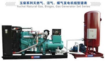 Biogas & Natural Gas Generator